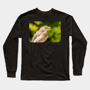 Baby robin Long Sleeve T-Shirt